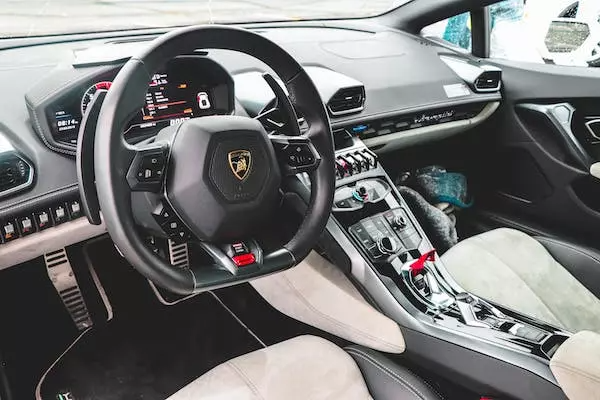 interior del coche en blanco y negro