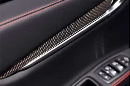 Door of sport's modern car with carbon fiber